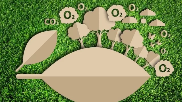 The Carbon Skin, un marketplace de carbono que ayuda a neutralizar huella (canjea CO2 por proyectos certificados en la región)