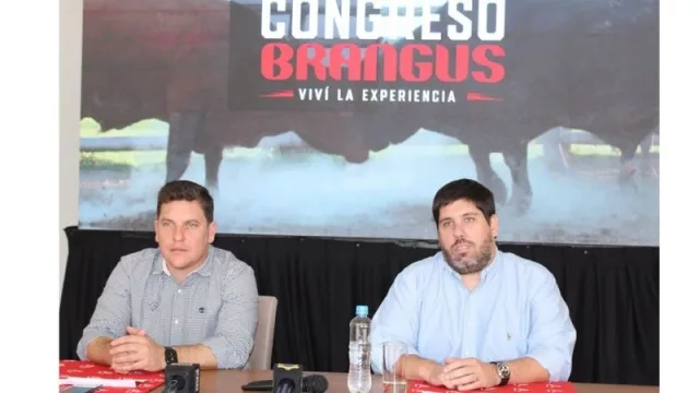 Brangus organiza su primer congreso internacional (compartirá experiencias de éxito en la producción de carne)