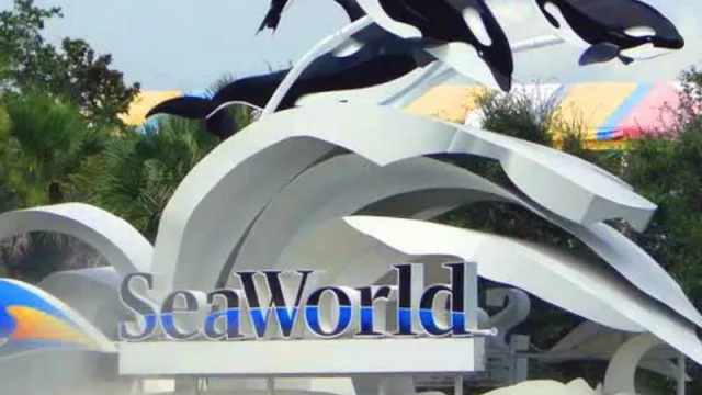 SeaWorld vende 21% de sus acciones al grupo chino Zhonghong Zhuoye
