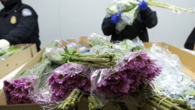 San Valentín llena a Florida de flores (con estricto control del CBP)