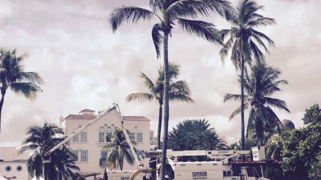 Miami y el sur de la Florida retoman la normalidad