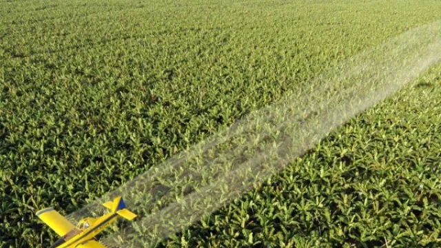 BTI para prevenir y Naled para atacar. Las fumigaciones aéreas en Miami que son motivo de discusión