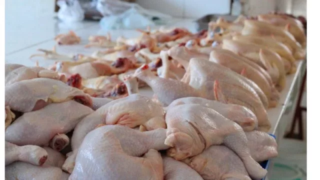 Ingresos por exportación de pollo también en alza a pesar de menor volumen enviado (Albania, el mayor comprador)