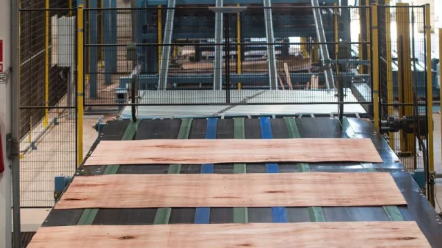 La uruguaya LUMIN exporta casi el 95% de su producción (y con origen certificado)