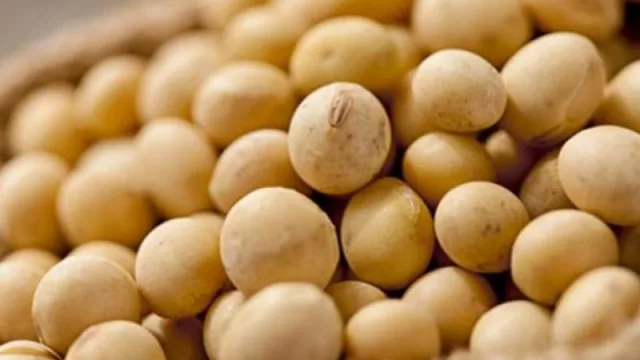 Y la soja sigue empujando en Uruguay (exportaciones en agosto alcanzaron US$ 1.231 millones)