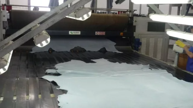 Industria del cuero en Paraguay se mantiene firme pese a caída de exportación y bajos precios (Italia, el mayor comprador)