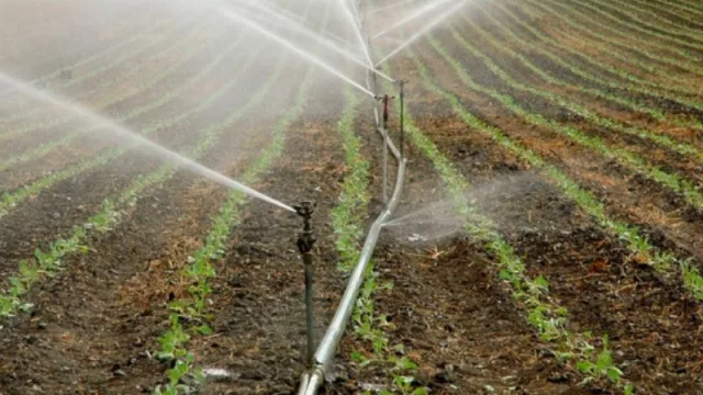 Una herramienta uruguaya para saber cuánto regar (y ahorrar hasta un 25% de agua)
