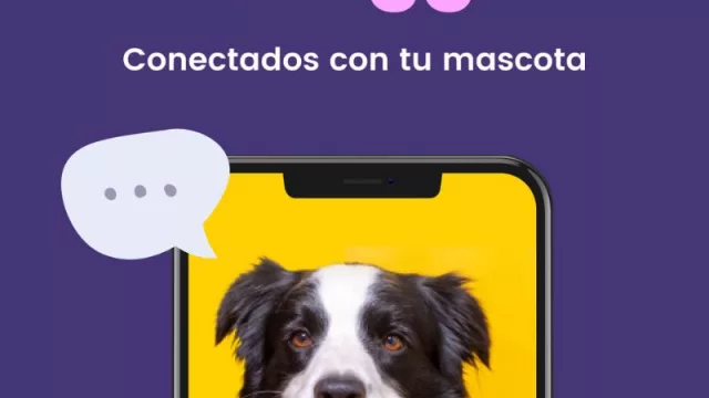 Rapanui y Chango Más ya la usan: de qué se trata Wagg (la app veterinaria que cuida a tus mascotas 24 /7)