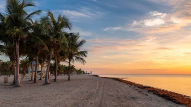 The best beaches of summer 2023 in Miami