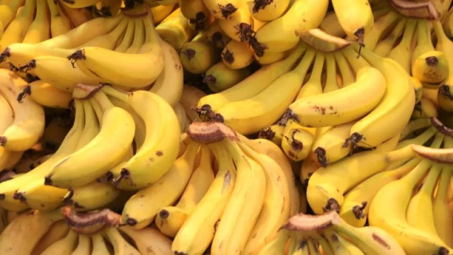 Más allá de Argentina: Banana paraguaya podría ingresar a seis nuevos mercados del mundo
