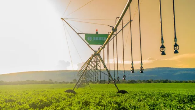 Bauer do Brasil se expande a América del Sur (la firma operará en AR, BOL, PY, PE y UY)