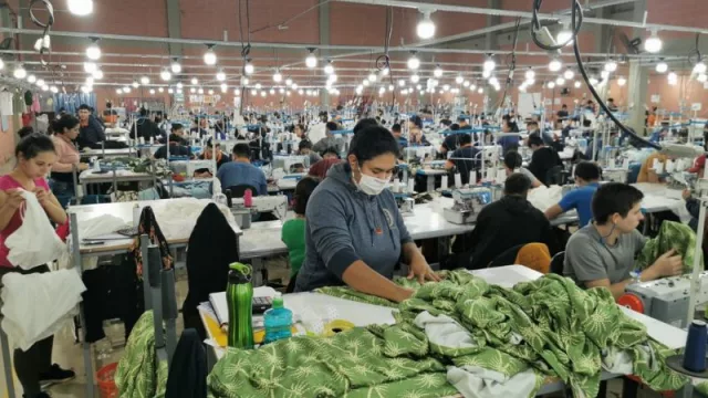 Paraguay imán de producción bajo el régimen de maquila: Hering, Lacoste y Polo Wear apuestan por tierra guaraní