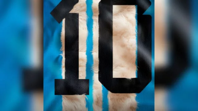 "Especies en Retiro": una impactante campaña de Findasense y Fundación Con Vida para proteger la fauna en peligro