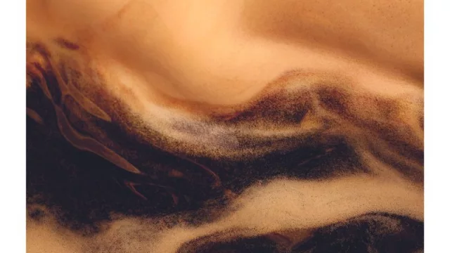 Nespresso revela cuáles son las variedades de café que conquistaron los paladares de los argentinos: Buenos Aires Lungo, Vienna Lungo, Volluto, Arpeggio, Stockholm Lungo y Ristretto