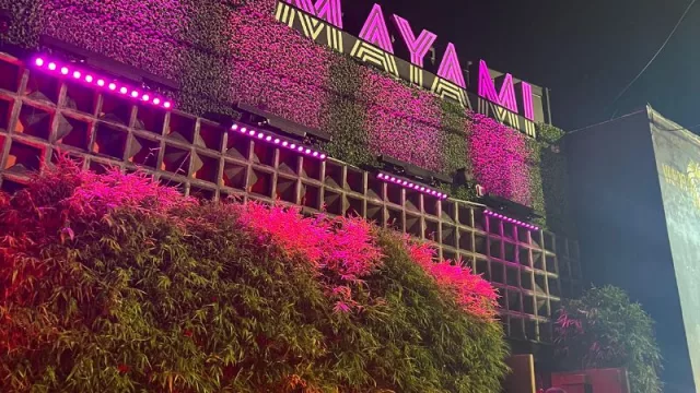 Mayami Wynwood: fusión de gastronomía y entretenimiento (un concepto que podría extenderse a Texas y Nueva York)