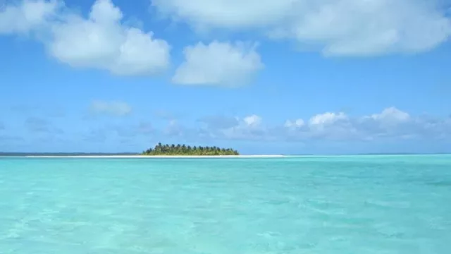 ¿Sabías que existe una isla paradisíaca ideal para lunas de miel? Está en Florida (y se llama Honeymoon Island)