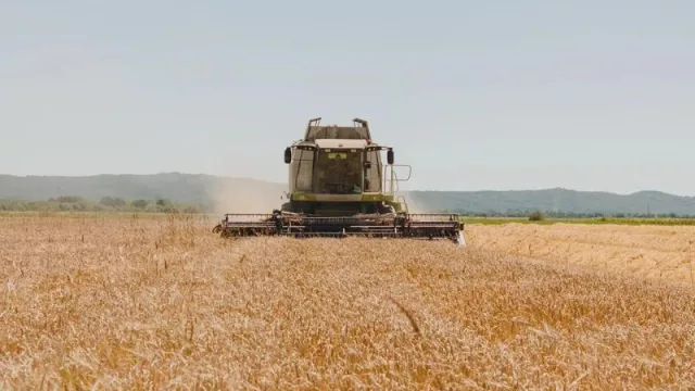 Cebada gallega: el exitoso proyecto de cultivo de Corporación Hijos de Rivera en su tierra