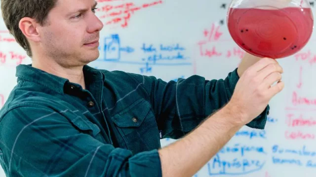 Tintte: la startup que encontró color en los microorganismos (y busca convertirlos en un negocio mundial)