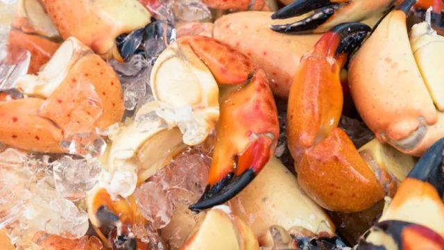 Regresa el Festival del Marisco de South Beach (una celebración imperdible de sabor y cultura)