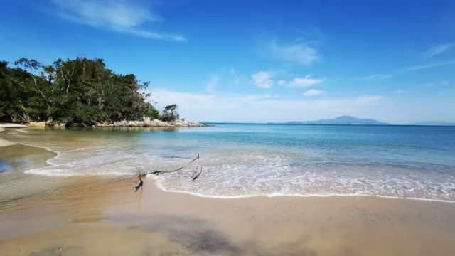 Brasil lidera el ranking de playas sustentables en América del Sur (pasó de tener 31 playas en 2023 a 38 galardonadas en 2024)