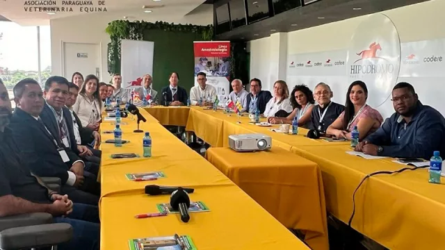 Asunción será sede de la VIII Cumbre Fiave 2025: impulso a la veterinaria equina iberoamericana