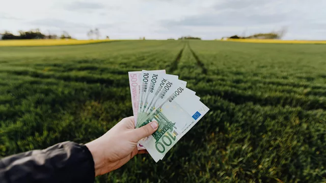 Forza Italia: Paraguay interesa a peninsulares para invertir en agro y alta tecnología