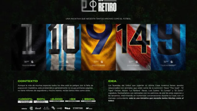 "Especies en retiro": un caso de éxito de Findasense y Fundación con Vida en la Copa América