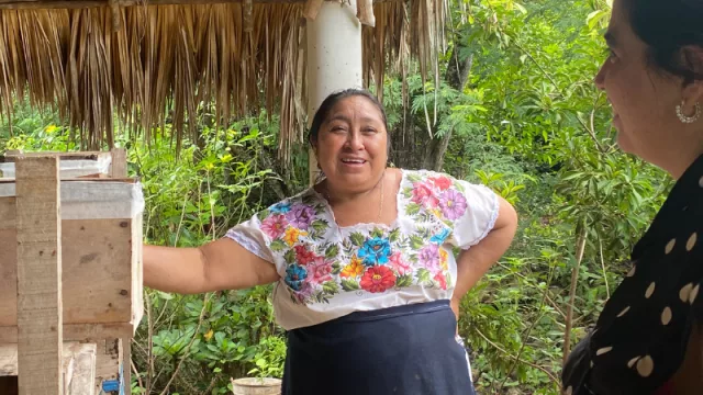 Innovación social argentina: dos startups que revolucionan el campo y la fertilidad