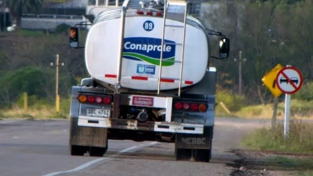 Haciendo y despachando: Conaprole es nuevamente el mayor exportador de Uruguay