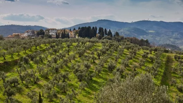 Temu hace más accesibles los alimentos gourmet españoles a través de sus vendedores locales