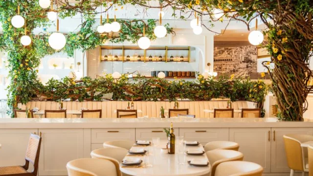 MOTEK in Boca Raton: The Culinary Strategy That Is Revolutionizing Mediterranean Cuisine in Miami—and Beyond