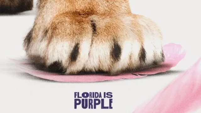 ¿Orlando City, lo tiene de “hijo” a Inter Miami? (mirá el historial)