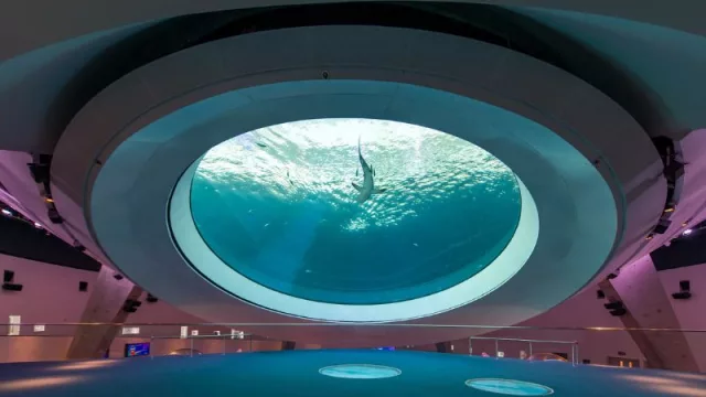 Óculo del Frost Museum Miami: el secreto arquitectónico que revoluciona las redes sociales 2025 y transforma el turismo científico