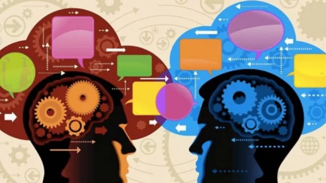 2025: The Logic of “Human” Networks — Hoarding or Sharing? (What Did We Finally Understand?)