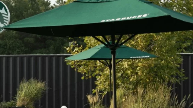 MrBeast & Starbucks: A Colaboração que Também é Product Placement (E Reforça a Era do Universo Temático)