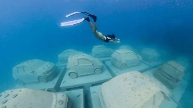 Reefline: The Subaquatic Art That Heals People and Oceans, in Miami