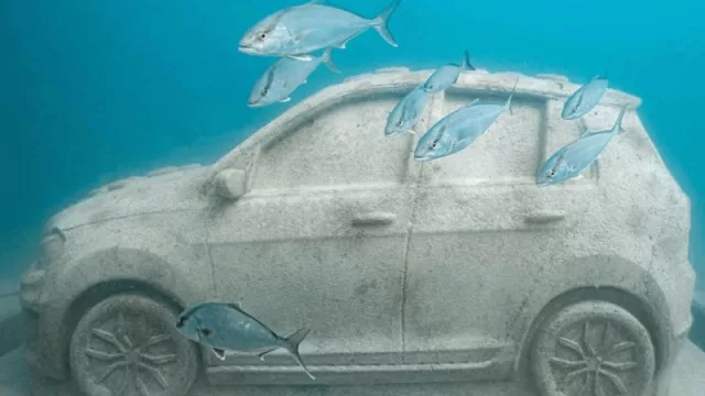 Reefline: a arte subaquática que cura pessoas e oceanos, em Miami