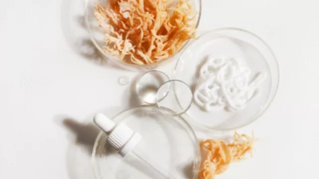 Mercado de US$ 55.000 millones y creciendo (Uruguay y otros 10 países de la ALADI firmaron acuerdo para el comercio de cosméticos)